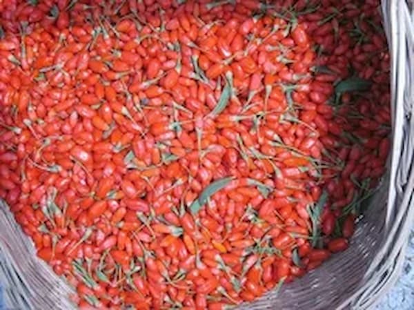 تصویر 1 از قیمت انواع زرشک اعلا + خرید باور نکردنی